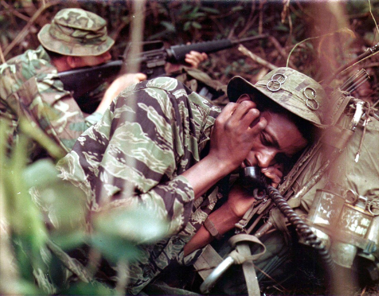 Image of tiger stripe camouflage