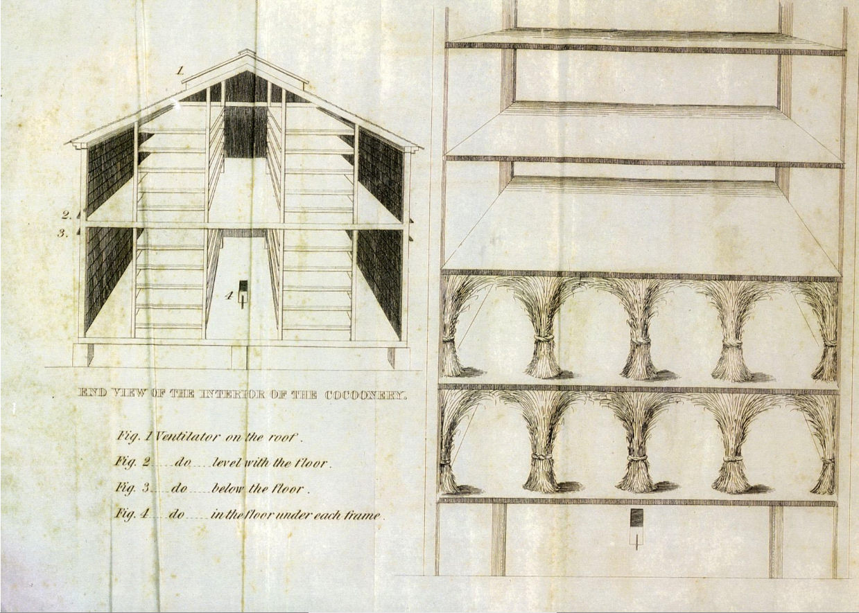 "Design for Cocoonery" drawing showing a structure with spaces for silk worms to spin cocoons.