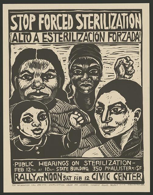 A poster for a rally says, Stop Forced Sterilization, and shows four women of color, two with fists raised. 