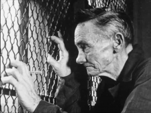 A thin older man with combed dark hair grips a chain link fence which he leans into and stares through intently.