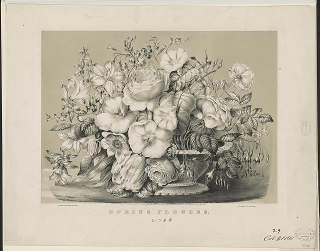 Spring flowers from Currier and Ives from the Library of Congress