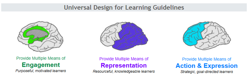 Diagram shows Engagement, Representation, and Action & Expression. 