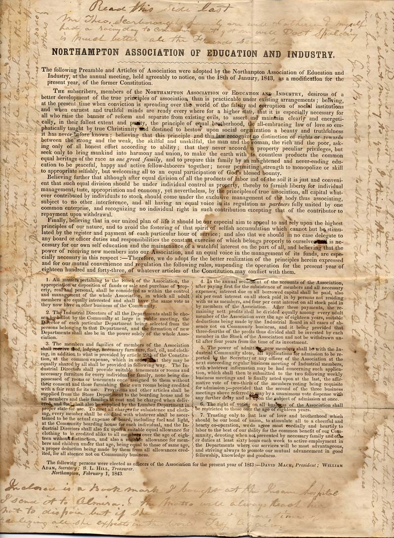 Constitution of the NAEI