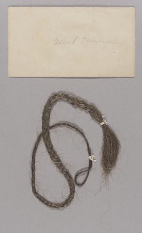 A long lock of braided blonde-brown hair bound with ribbon. An envelope says Aunt Hannah in pencil. 