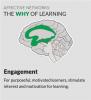 Graphic shows regions of a brain active in emotion.